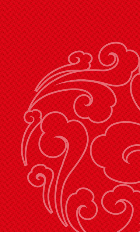 ���Ź���V9��(�й�)���޹�˾����