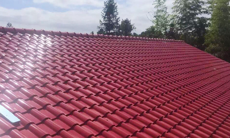 ����������˽�˱���