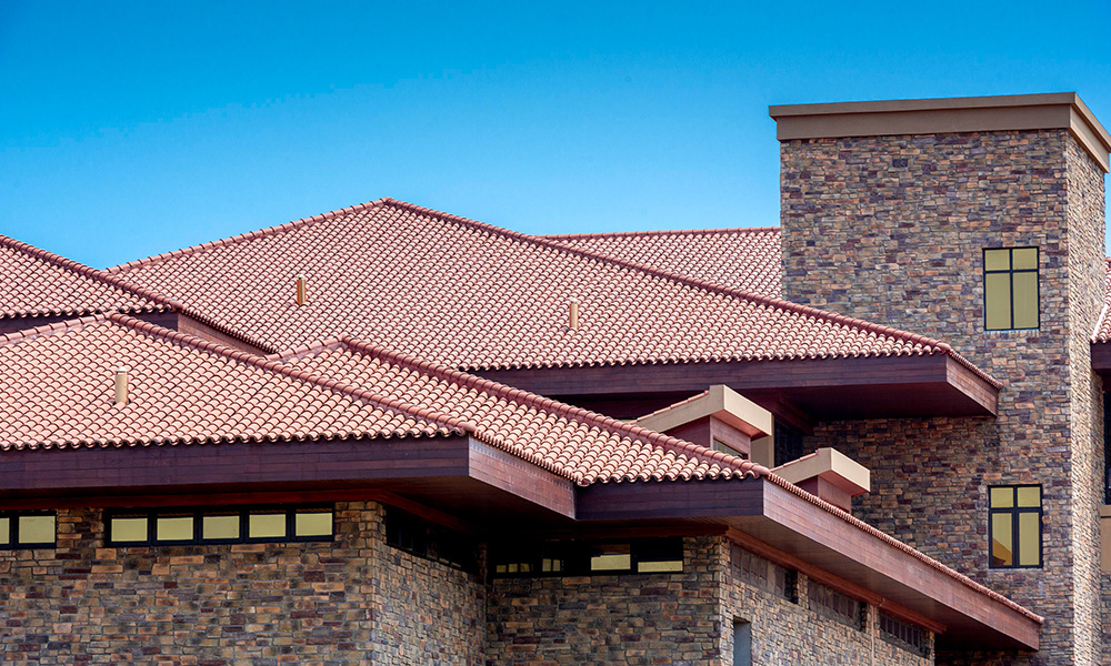 ������������ɳ��������