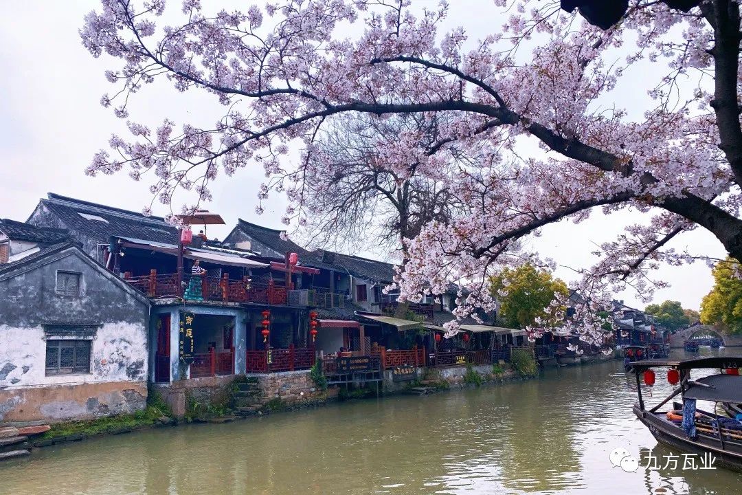 ���ϴ�ɫ����������������ǽ�߼䡪�����Ź��ʽ�����Ŀ��������