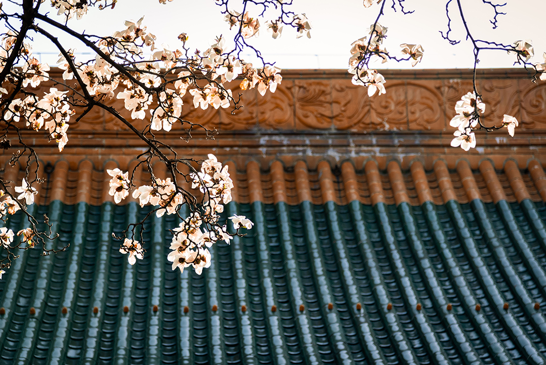 ��Ʒ���ͣ�������������ϵ�С����ڴ�