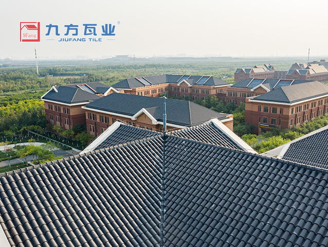 ������ѧԺ