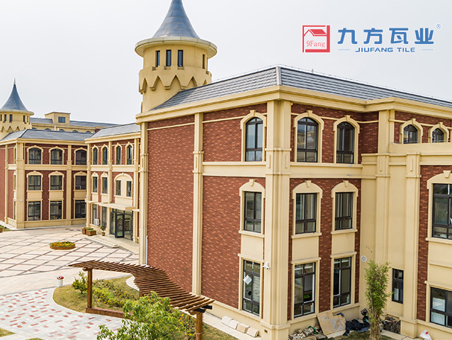 ���Ź���V9��(�й�)���޹�˾����