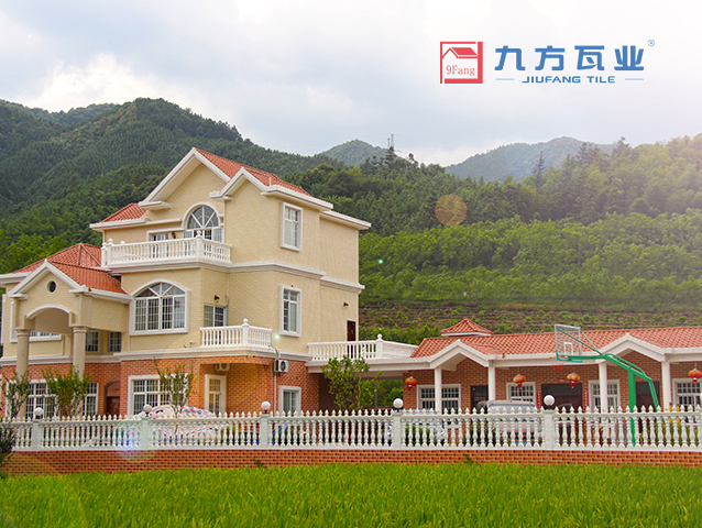 ���Ź���V9��(�й�)���޹�˾����