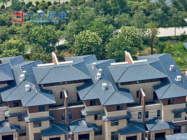 ���Ź���V9��(�й�)���޹�˾����