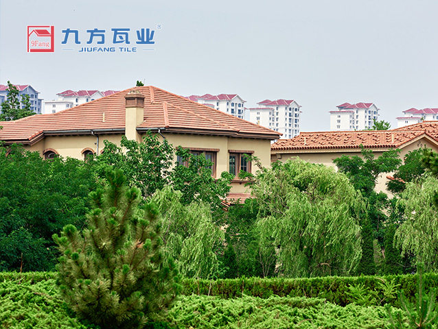 ��ī��Դ���