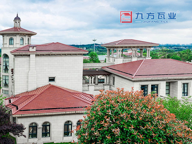 ���Ź���V9��(�й�)���޹�˾����