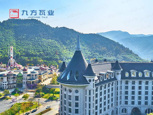 �����ű��ù�