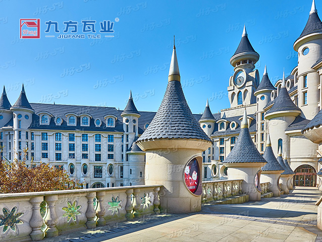 ���Ź���V9��(�й�)���޹�˾����