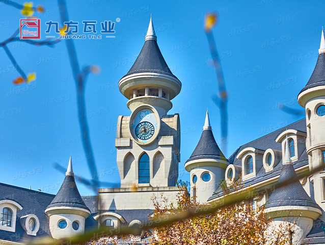 �����ű��ù�