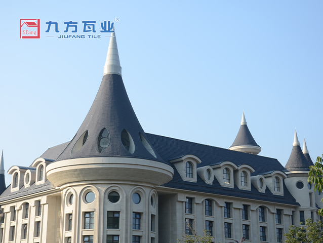 �����ű��ù�