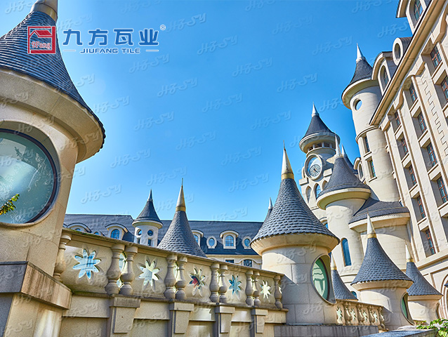 �����ű��ù�