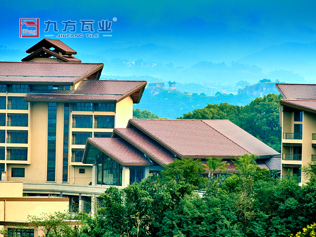 ���Ź���V9��(�й�)���޹�˾����