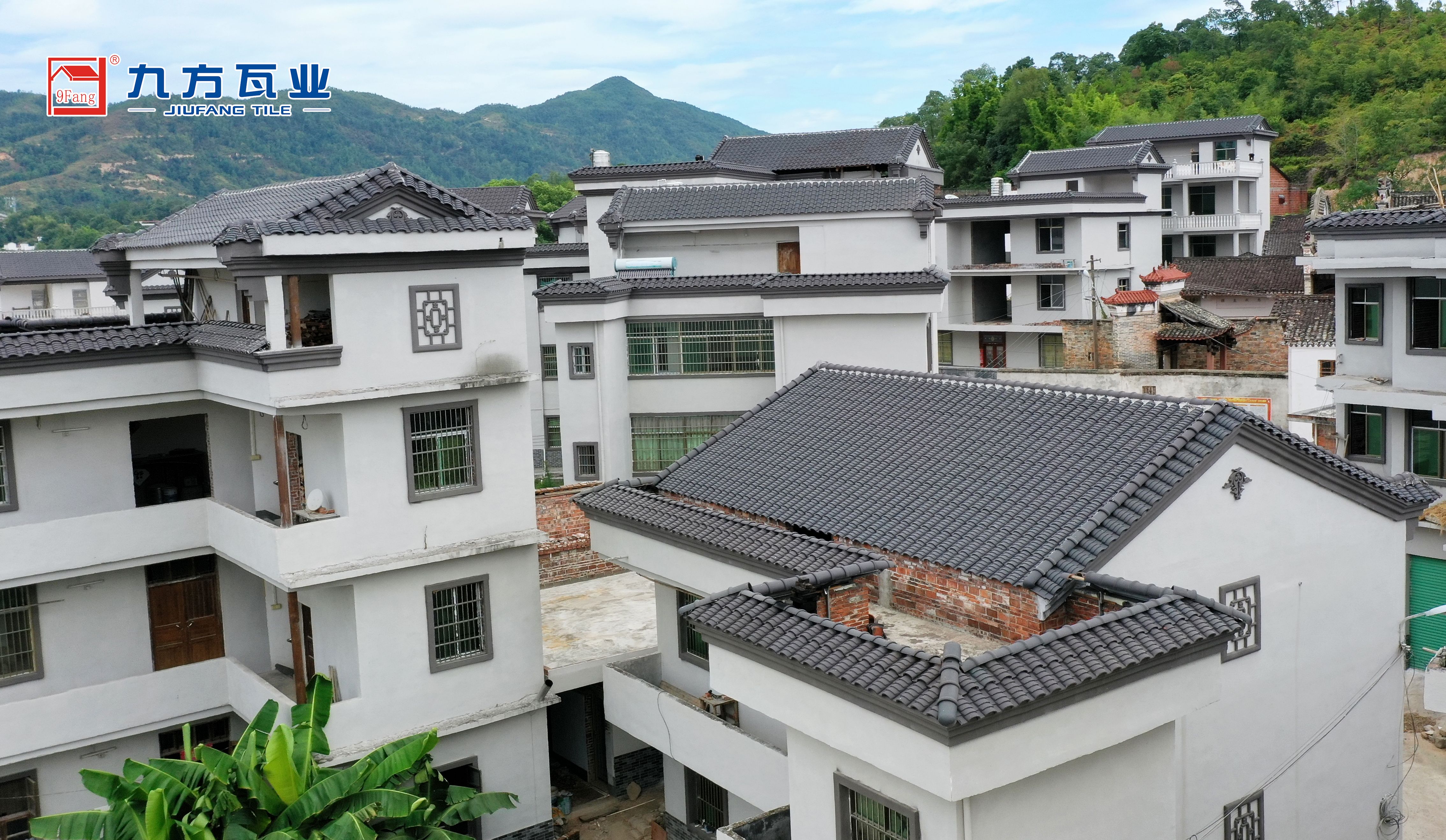 ���Ź���ժҪ2022��24��