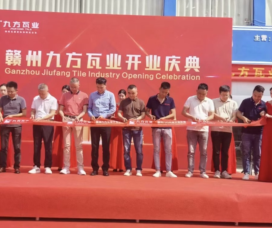 ���Ź���ժҪ2024��11��