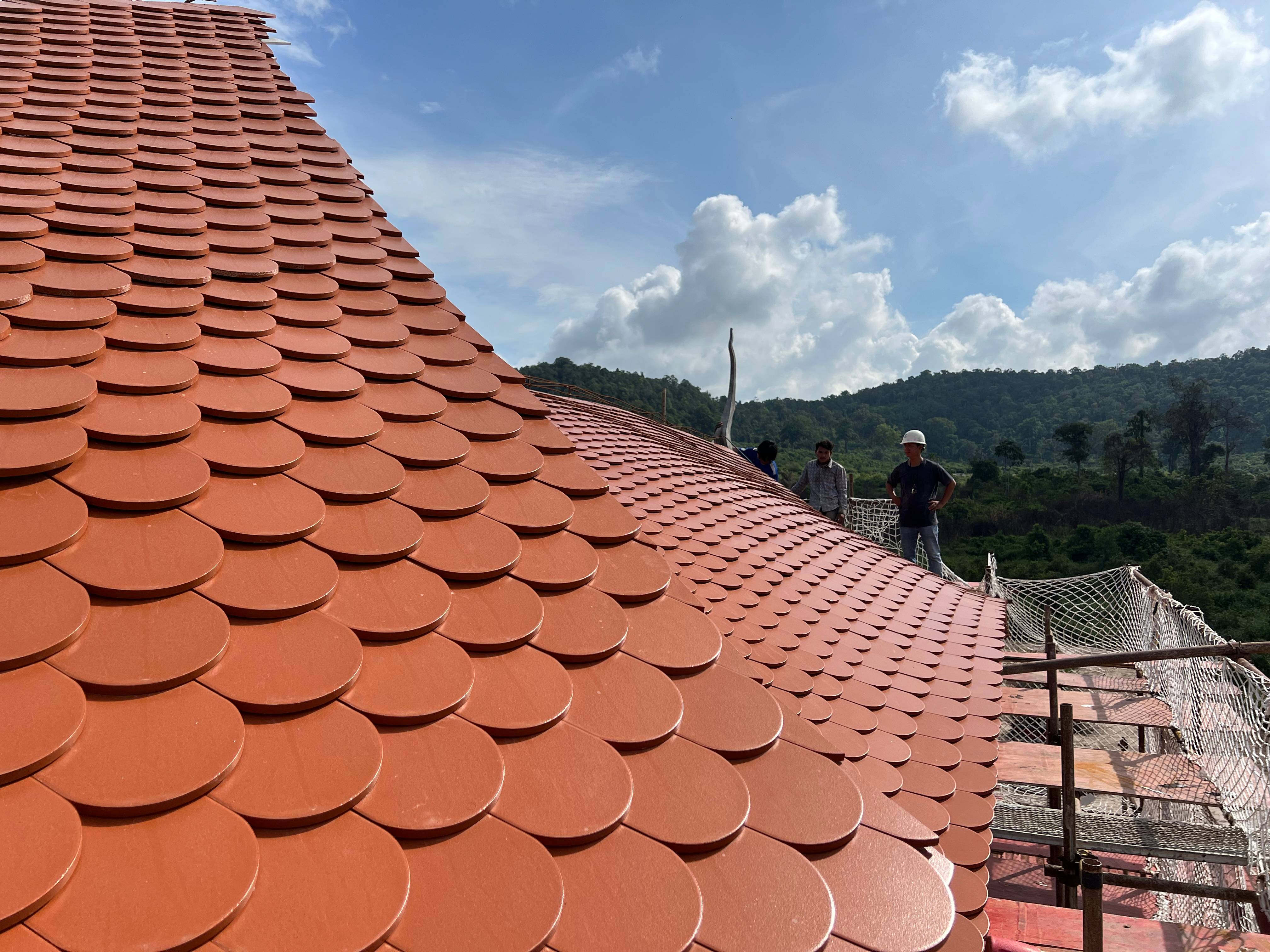 ���Ź���ժҪ2024��22��