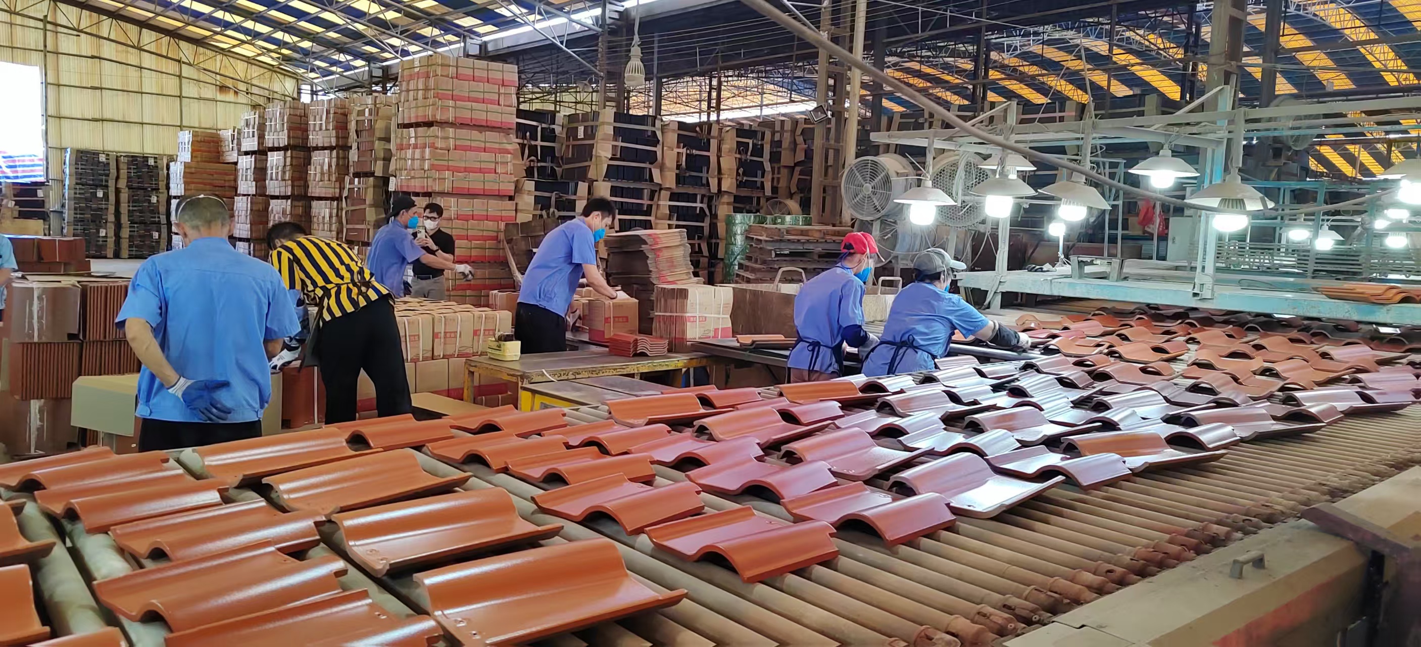 ���Ź���ժҪ2024��29��