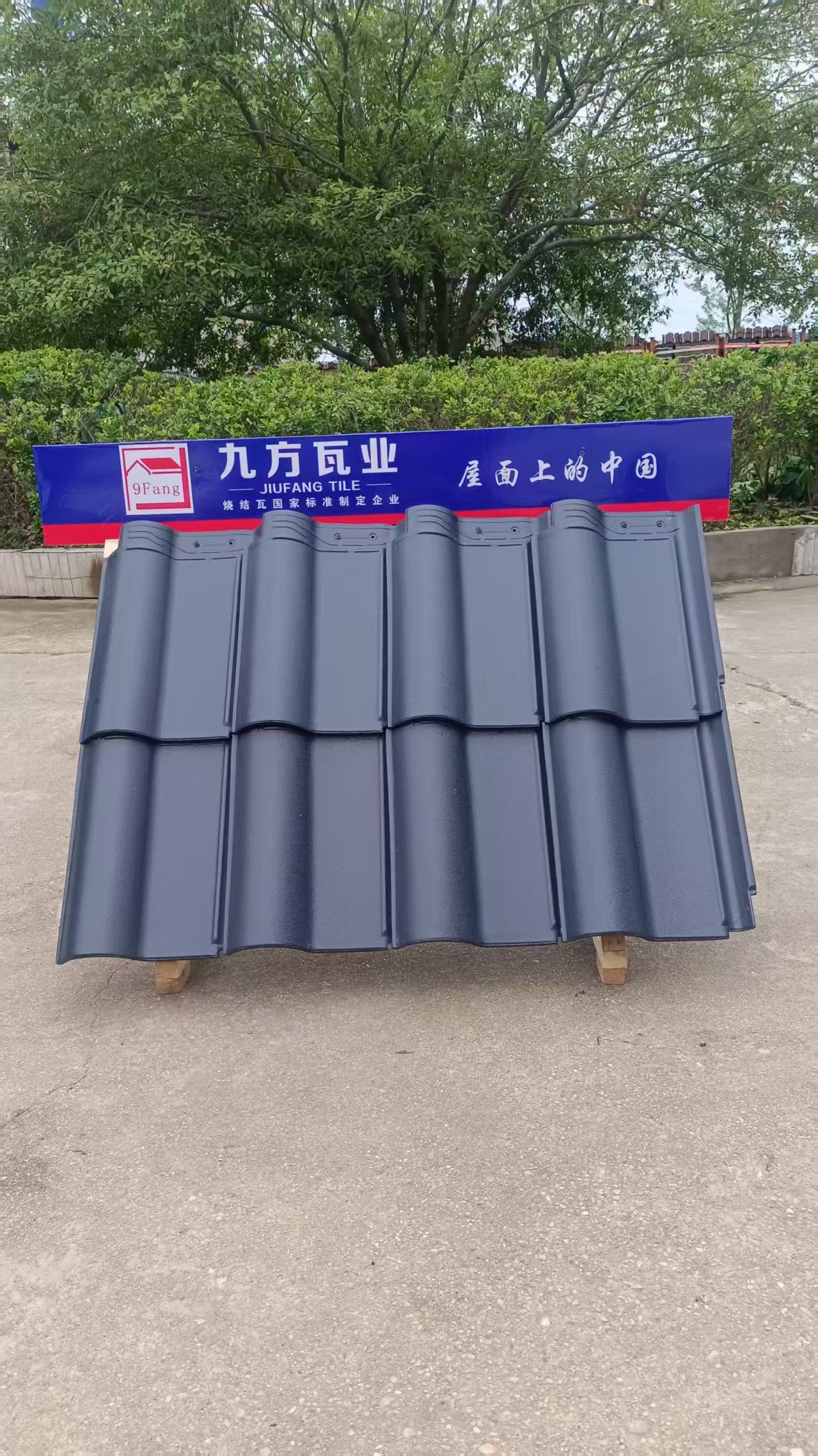 ���Ź���ժҪ2025��16��